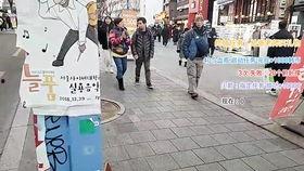 网红小葫芦,网络红人的崛起与影响力